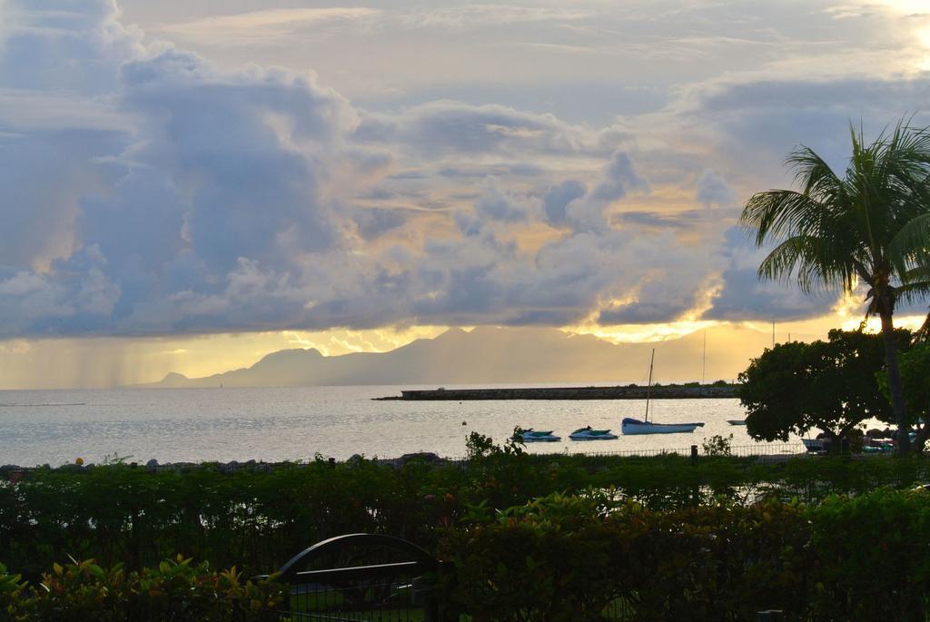 Savannah Guadeloupe سانت فرانسوا المظهر الخارجي الصورة